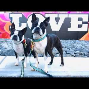 Meet your Posher, Nicky